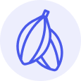 KAKAO icon