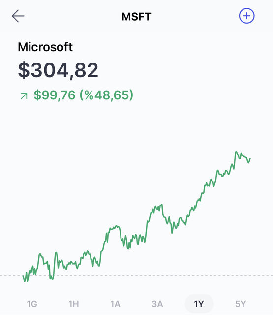 Microsoft hisselerinin son 1 yıllık performansı