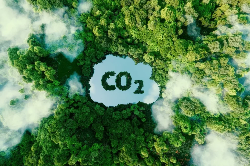 Karbon Emisyonu Nedir?