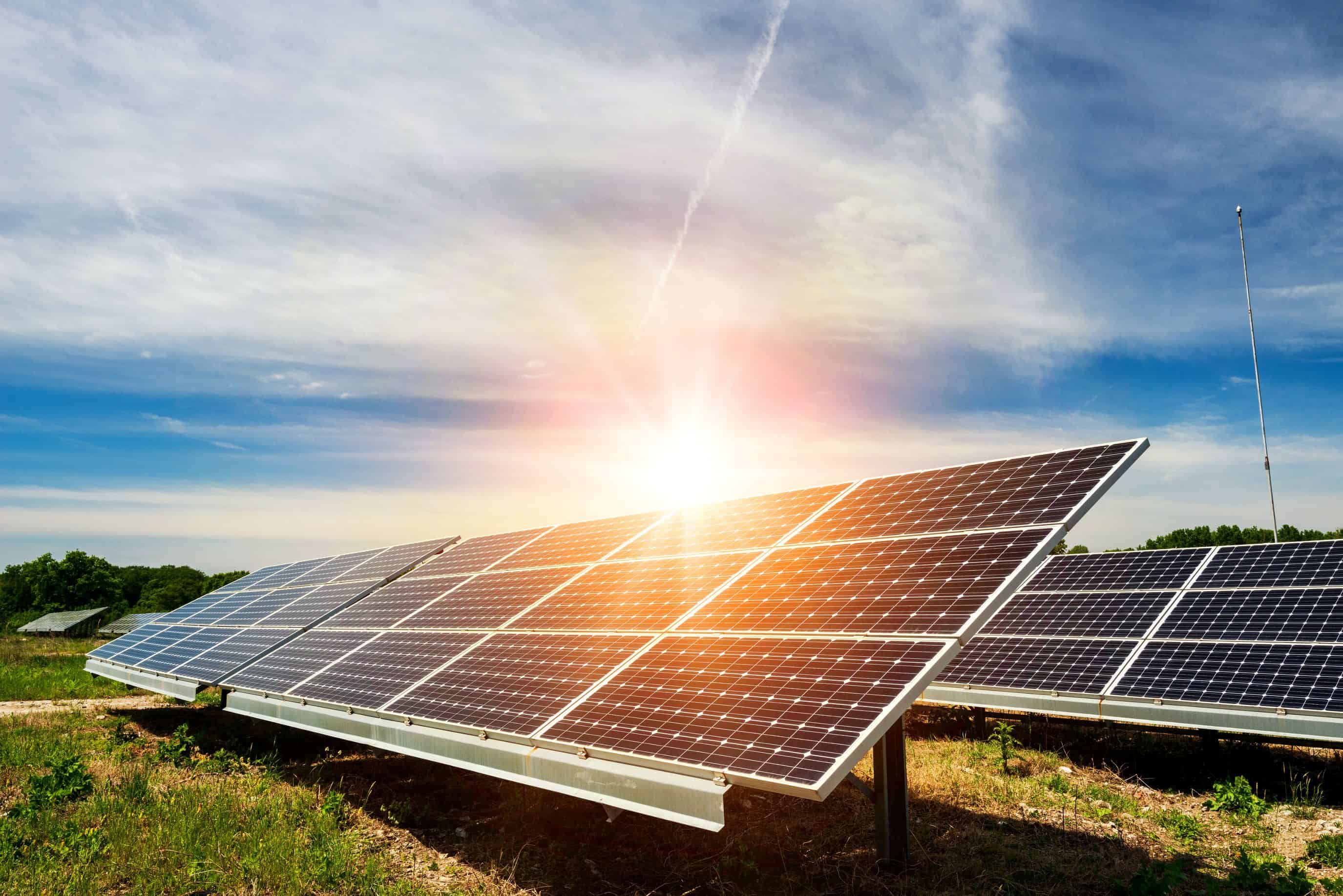 Yatırım Haberi: Söke Un’dan Güneş Enerji Santrali Yatırımı