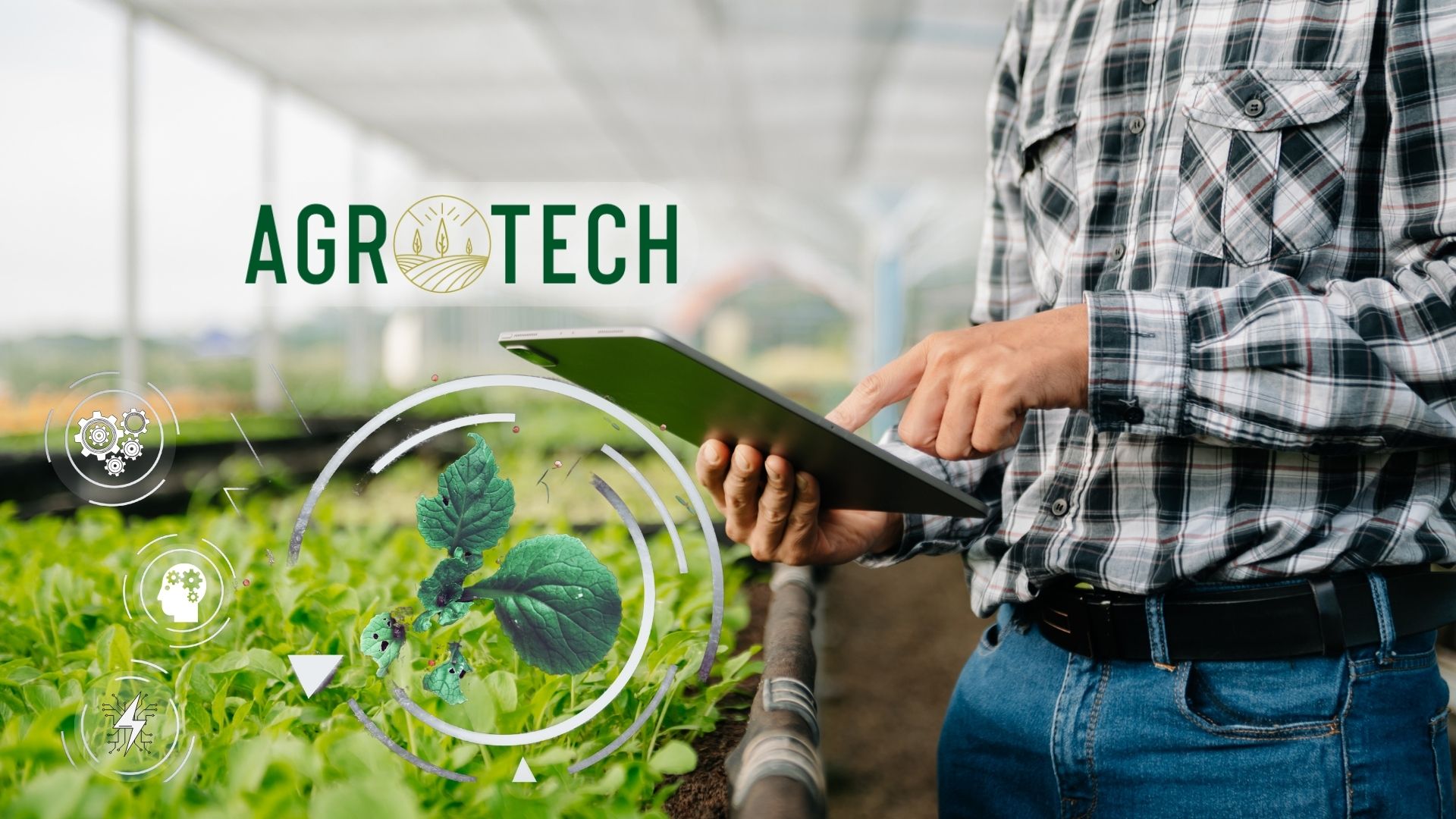 Agrotech Yüksek Teknoloji  ve Yatırım A.Ş Halka Arzı Hakkında Bilmen Gereken Her Şey! – 2023